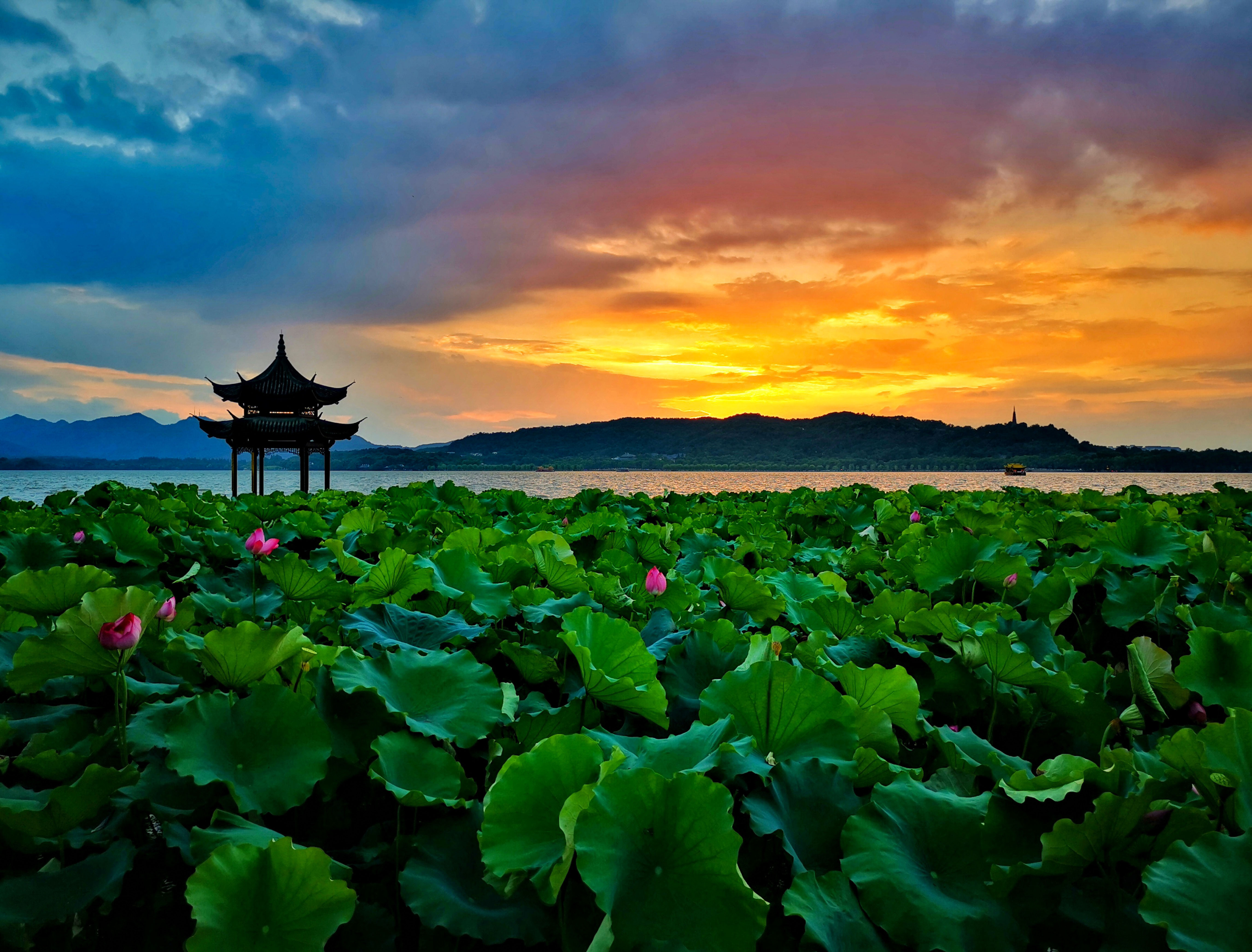 西湖：湖心印月，如畫江南 | 手機(jī)里的中國世界遺產(chǎn)