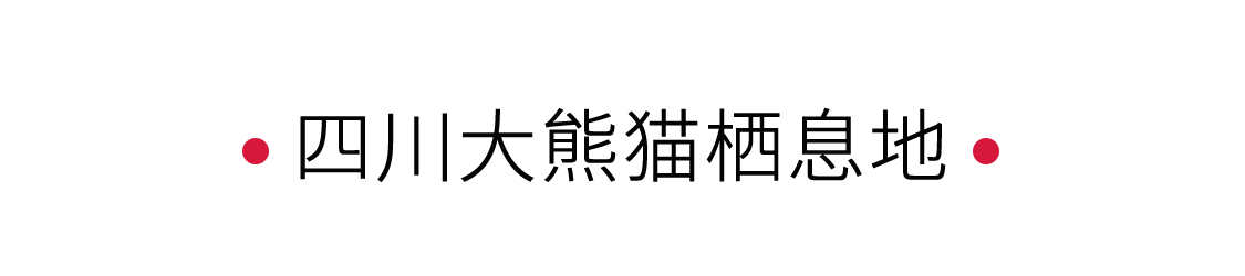 四川大熊貓棲息地：一個“活的博物館” 