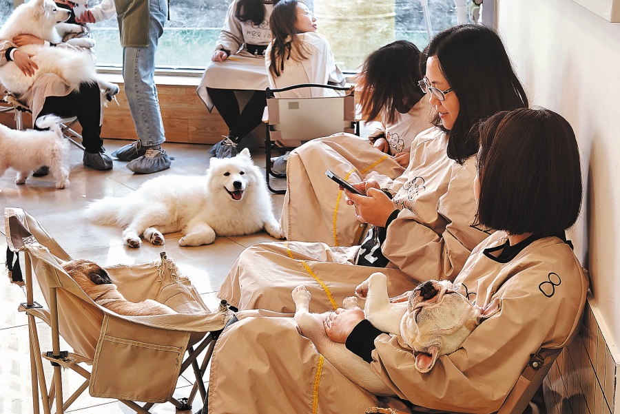 Pet economy purrs ahead as cat, pooch cafes spread