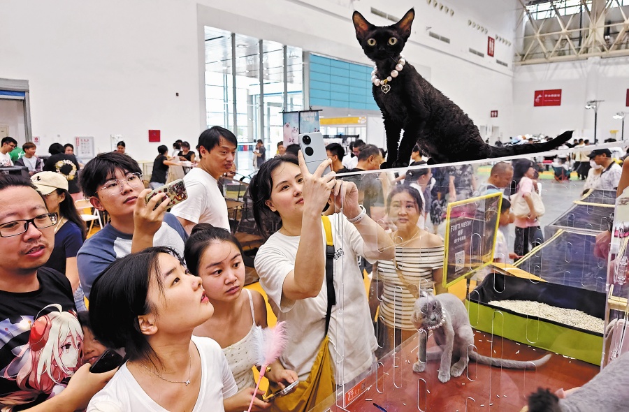 Pet economy purrs ahead as cat, pooch cafes spread