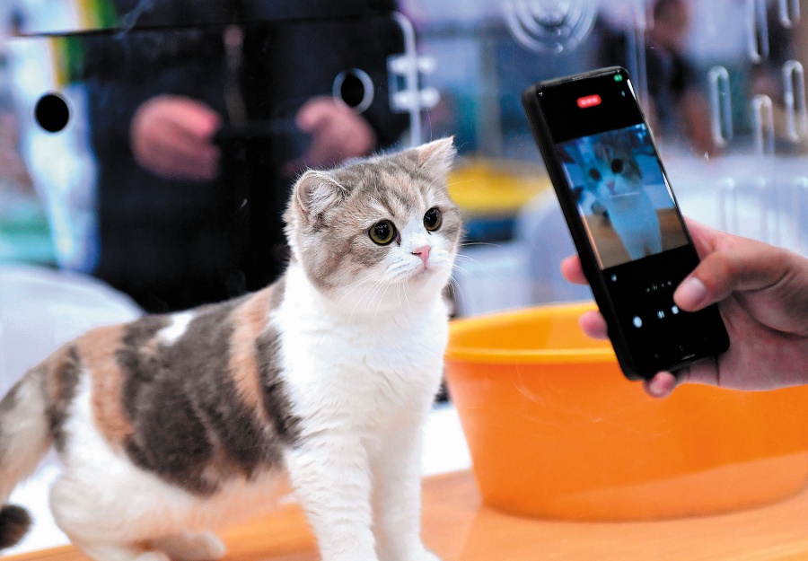 Pet economy purrs ahead as cat, pooch cafes spread